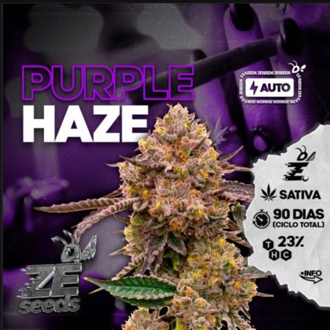 Purple Haze Automática  growlog timeline photo