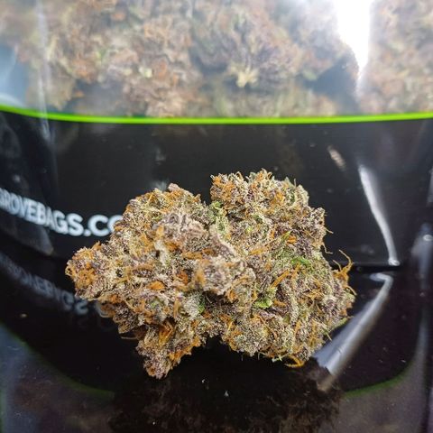 Tropicana Cookies Auto growlog photo: Yielded 75g, really tight buds!