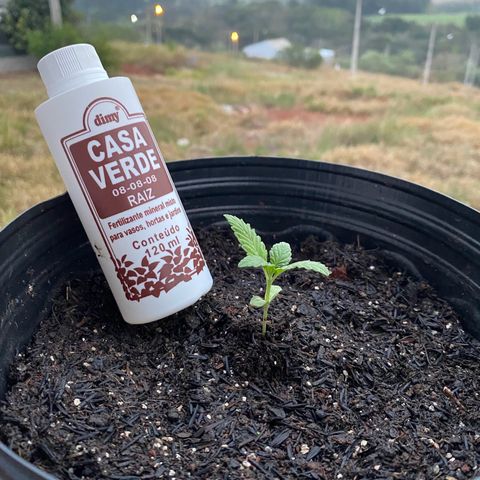 Jack Herer growlog timeline photo