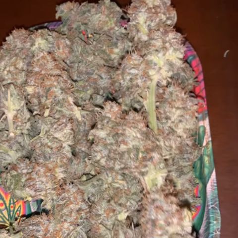 Ice Cream growlog timeline photo