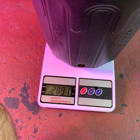 Moby dick  growlog timeline photo