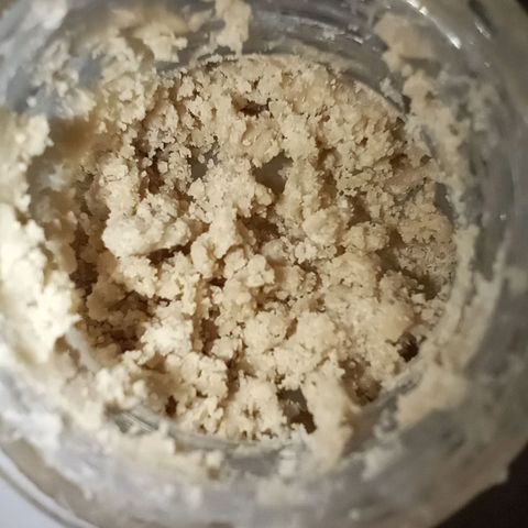 Apple Fritter Automatic growlog timeline photo