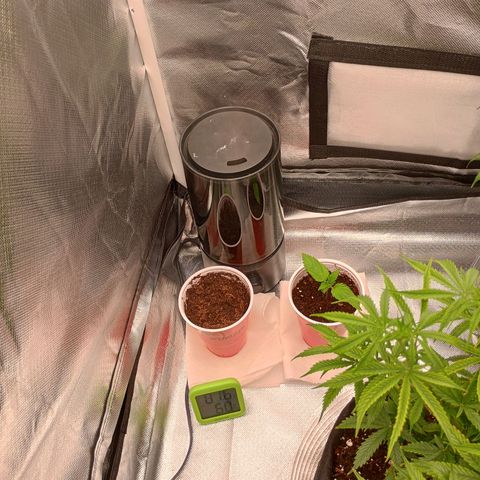 Orion growlog timeline photo