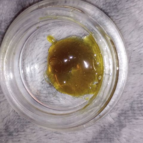 Bahama Berry growlog timeline photo
