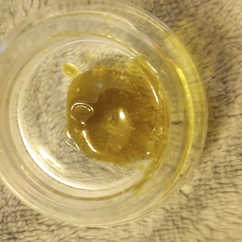 Bahama Berry growlog timeline photo