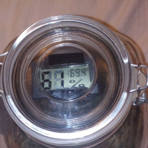 Bahama Berry growlog timeline photo