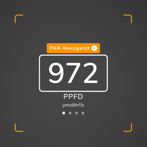 Amnesia Haze  growlog timeline photo