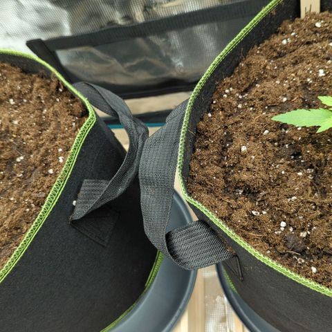Jack Herererer growlog timeline photo
