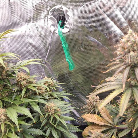 Jack Herererer growlog timeline photo