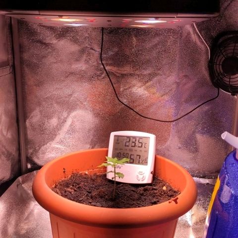 Quicky growlog timeline photo