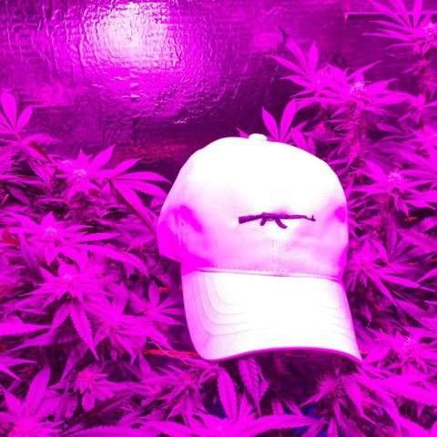Golden Lemon growlog timeline photo