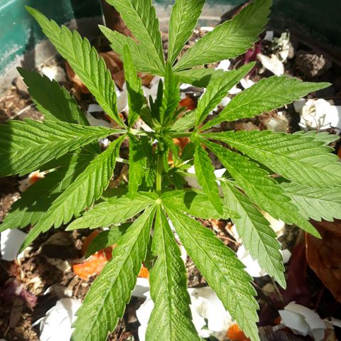 2💘 growlog timeline photo