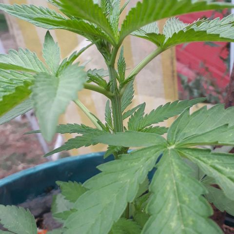 2💘 growlog timeline photo