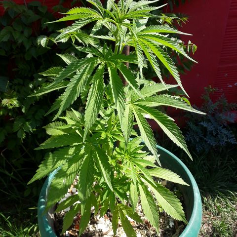 2💘 growlog timeline photo