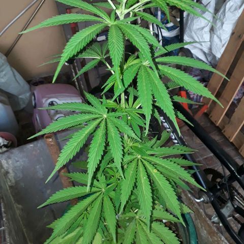 2💘 growlog timeline photo