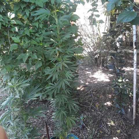 2💘 growlog timeline photo