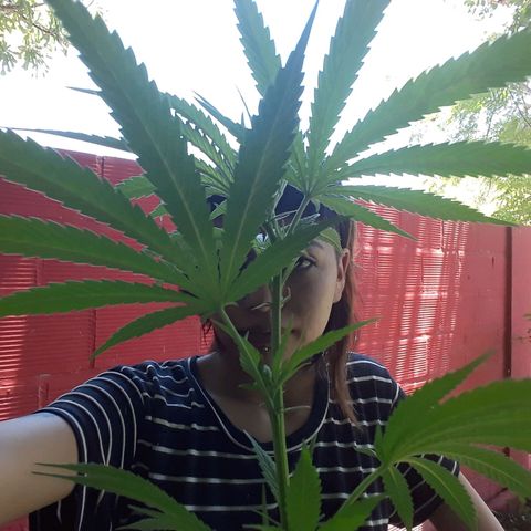 2💘 growlog timeline photo