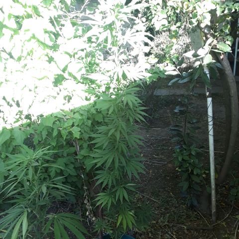 2💘 growlog timeline photo