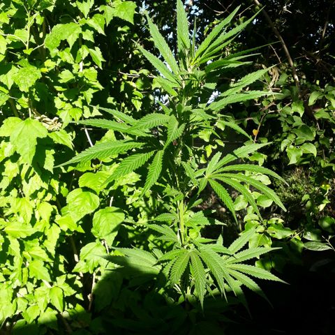 2💘 growlog timeline photo