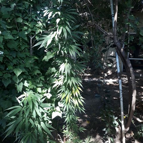 2💘 growlog timeline photo