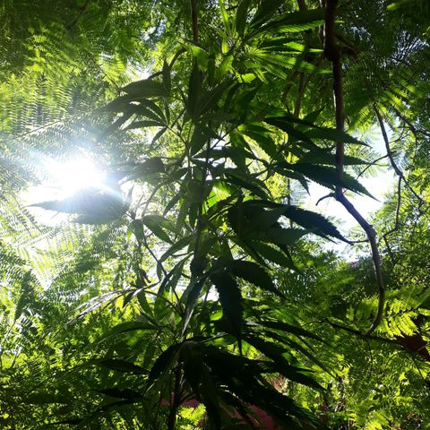 2💘 growlog timeline photo