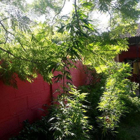 2💘 growlog timeline photo
