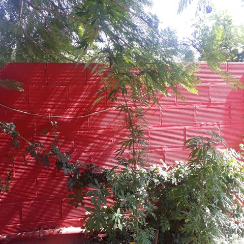 2💘 growlog timeline photo