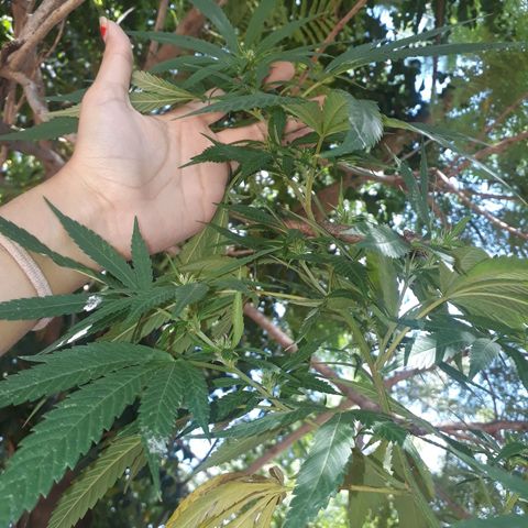 2💘 growlog timeline photo