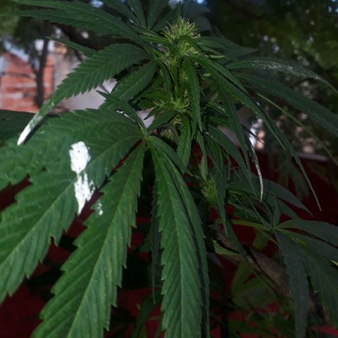 2💘 growlog timeline photo