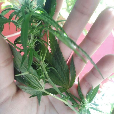 2💘 growlog timeline photo