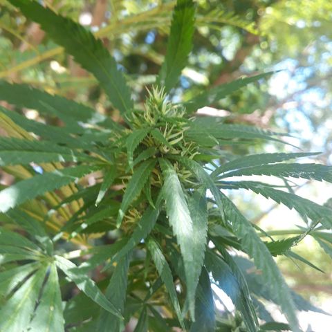 2💘 growlog timeline photo