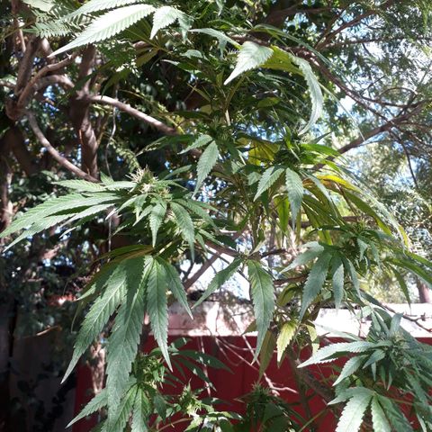 2💘 growlog timeline photo