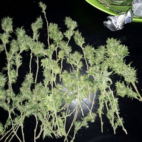 2💘 growlog timeline photo