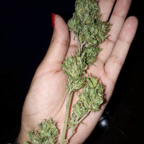 2💘 growlog timeline photo
