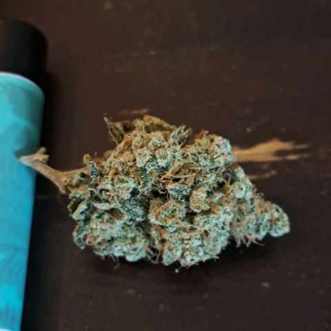 Sun of a Peach growlog timeline photo