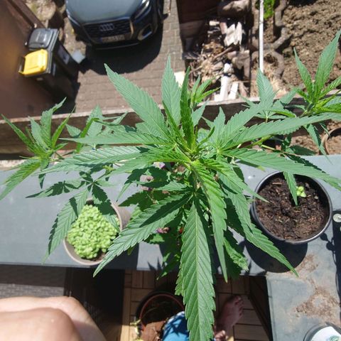 Unknown growlog timeline photo
