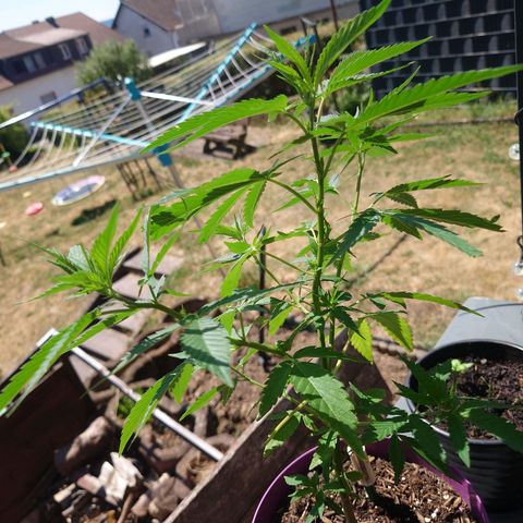 Unknown growlog timeline photo
