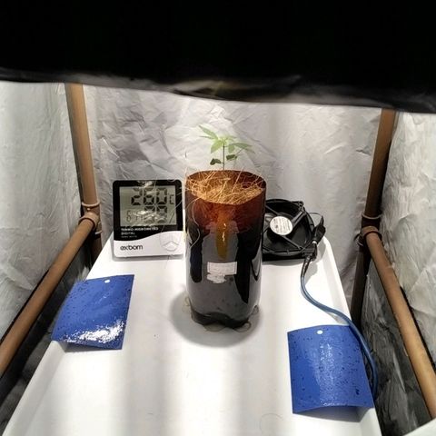 Resistência growlog timeline photo
