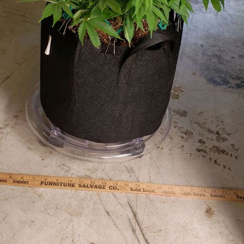 Hot Mess growlog photo: 19.5x18.5x9 inches