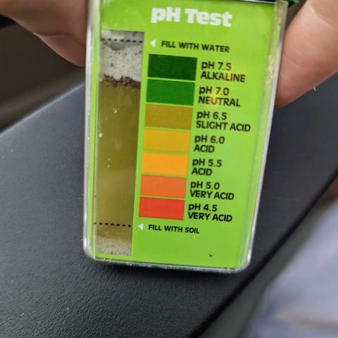 Shauna growlog photo: Mixing fresh soil. 50% FFHF, 25% perlite, 25% coco