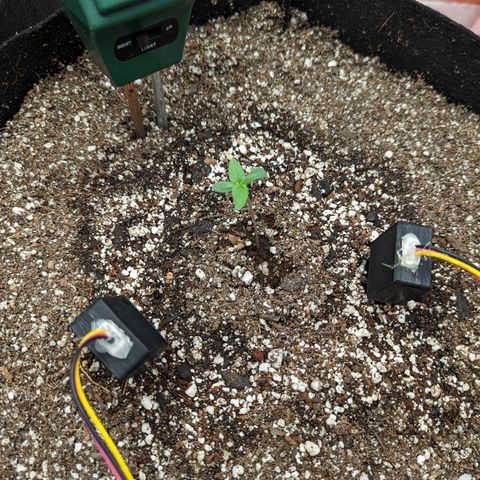Shauna growlog photo: She is still alive!