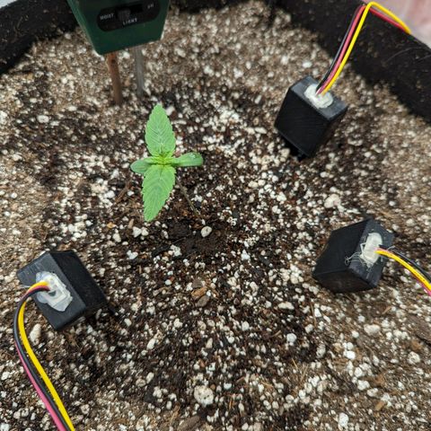 Shauna growlog timeline photo