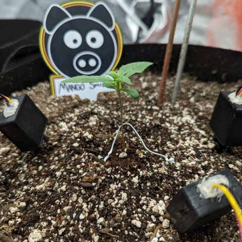 Shauna growlog timeline photo