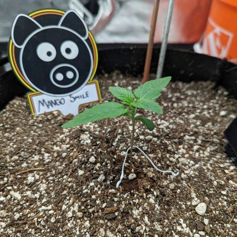 Shauna growlog timeline photo