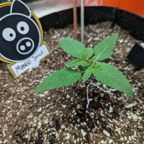 Shauna growlog timeline photo