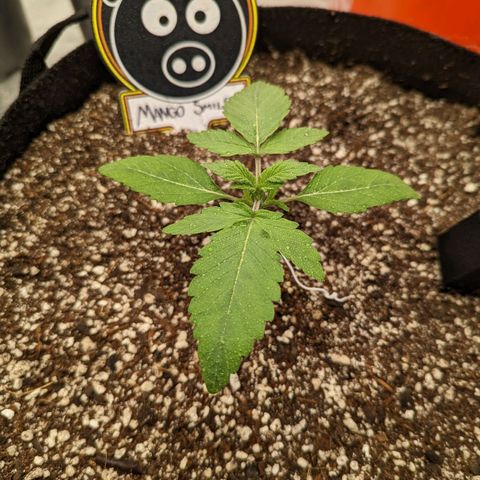 Shauna growlog timeline photo