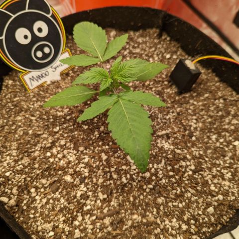 Shauna growlog timeline photo