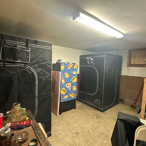 Quick One(5) growlog photo: Rotated my tent and added a new one today waiting on inline fan to come in, checked the soil it still seems a little damp may or may not water water today we’ll have to wait to see if there’s an update 