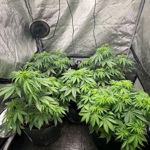 Quick One(5) growlog photo: Tuned the lights on for a split second to take some pictures of the night will take some in the morning
