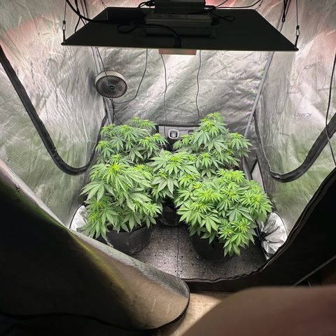 Quick One(5) growlog photo: Tuned the lights on for a split second to take some pictures of the night will take some in the morning